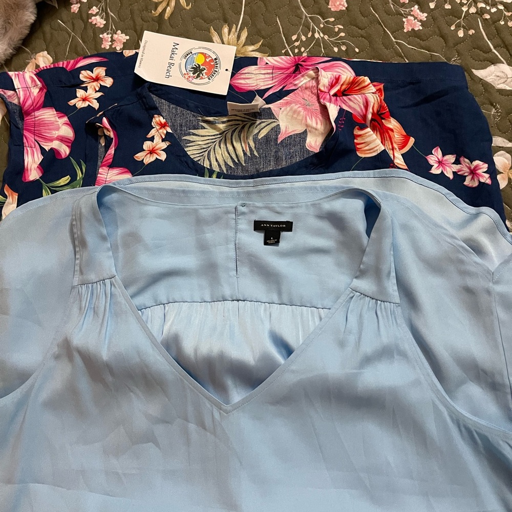 Ann Taylor Sky Blue V-Neck Blouse and 1 floral top